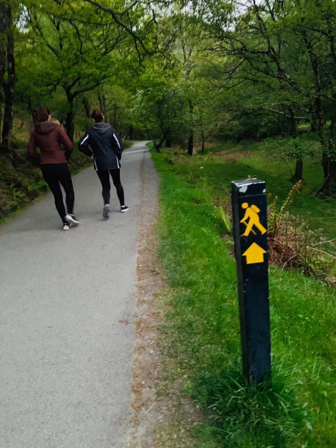 Wicklow Way Lodge Eksteriør billede