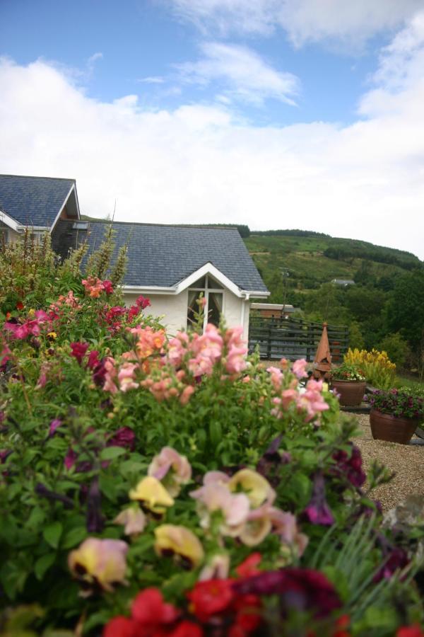 Wicklow Way Lodge Eksteriør billede