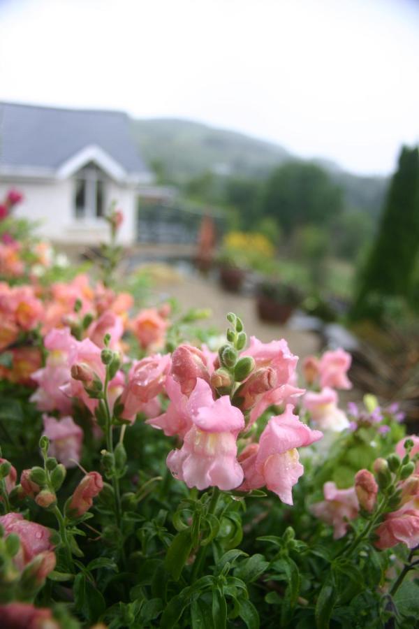 Wicklow Way Lodge Eksteriør billede